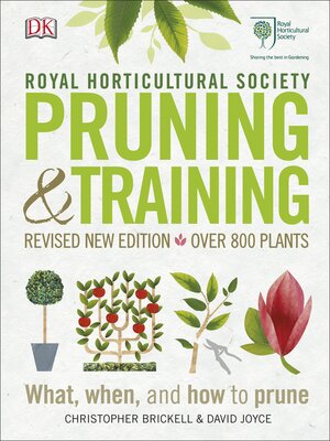 RHS Pruning & Training - ebook